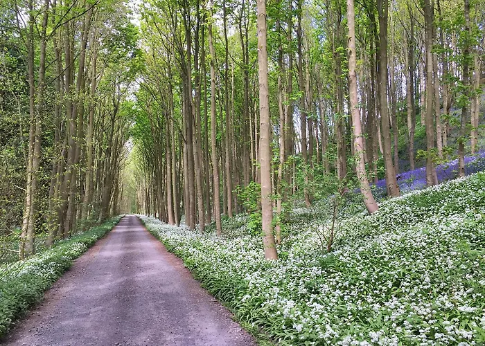 Finest Retreats - Ingleby Manor - East Wing *