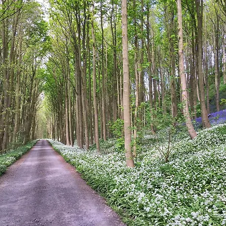 Finest Retreats - Ingleby Manor - East Wing *